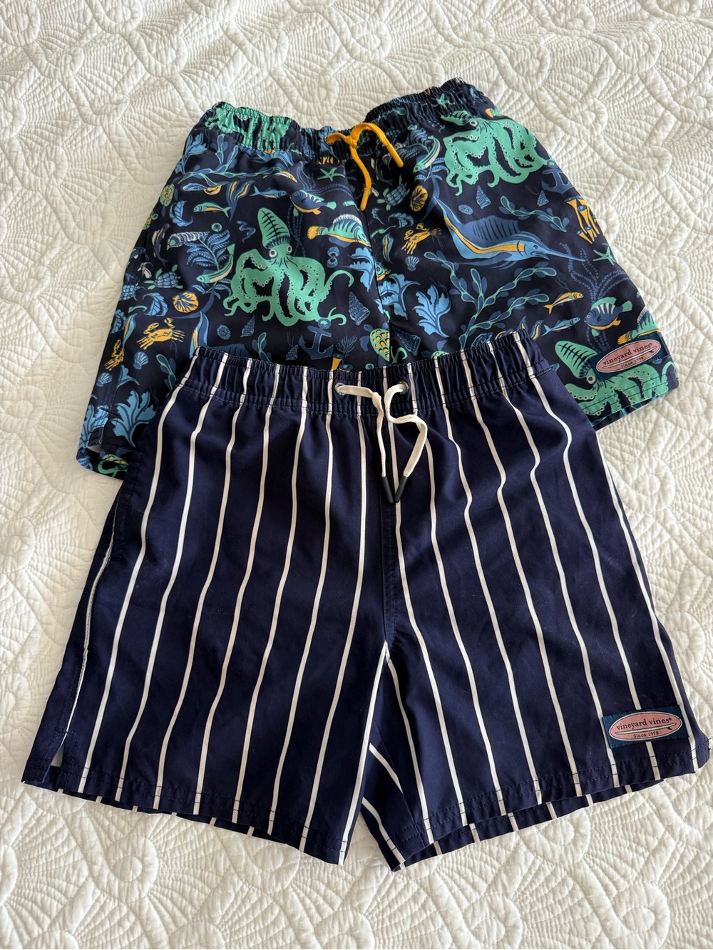 Lot of two VGUC VV boys bathing suits size 8/10